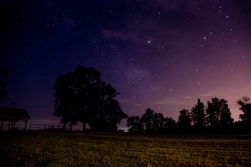 Photo of night sky with trees backlit