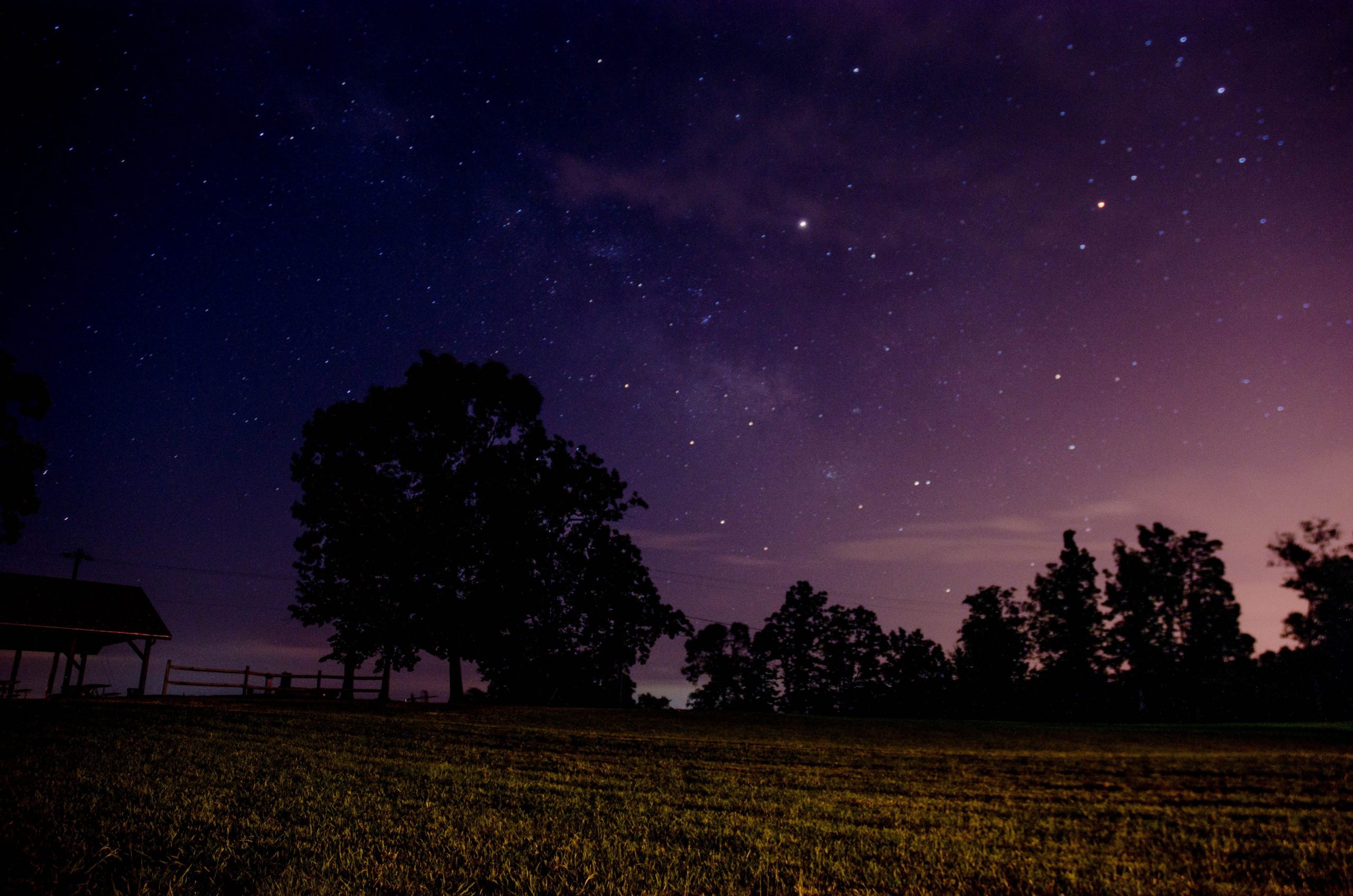 Photo of night sky with trees backlit