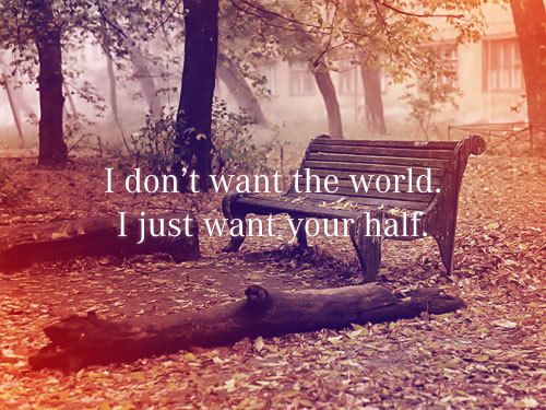 image reading "I don't want the world, I just want your half"