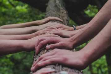 people touching tree