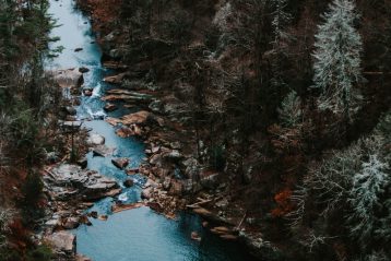 aerial photography of body of water with trees around