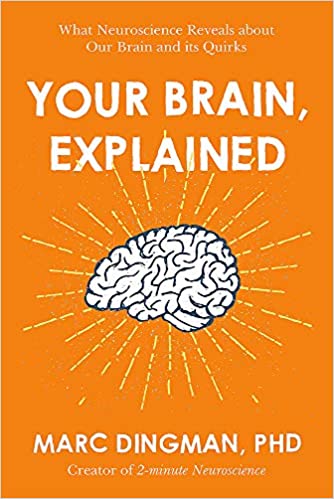 Your Brain Explained