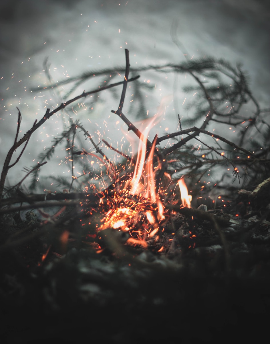 bonfire in the frost