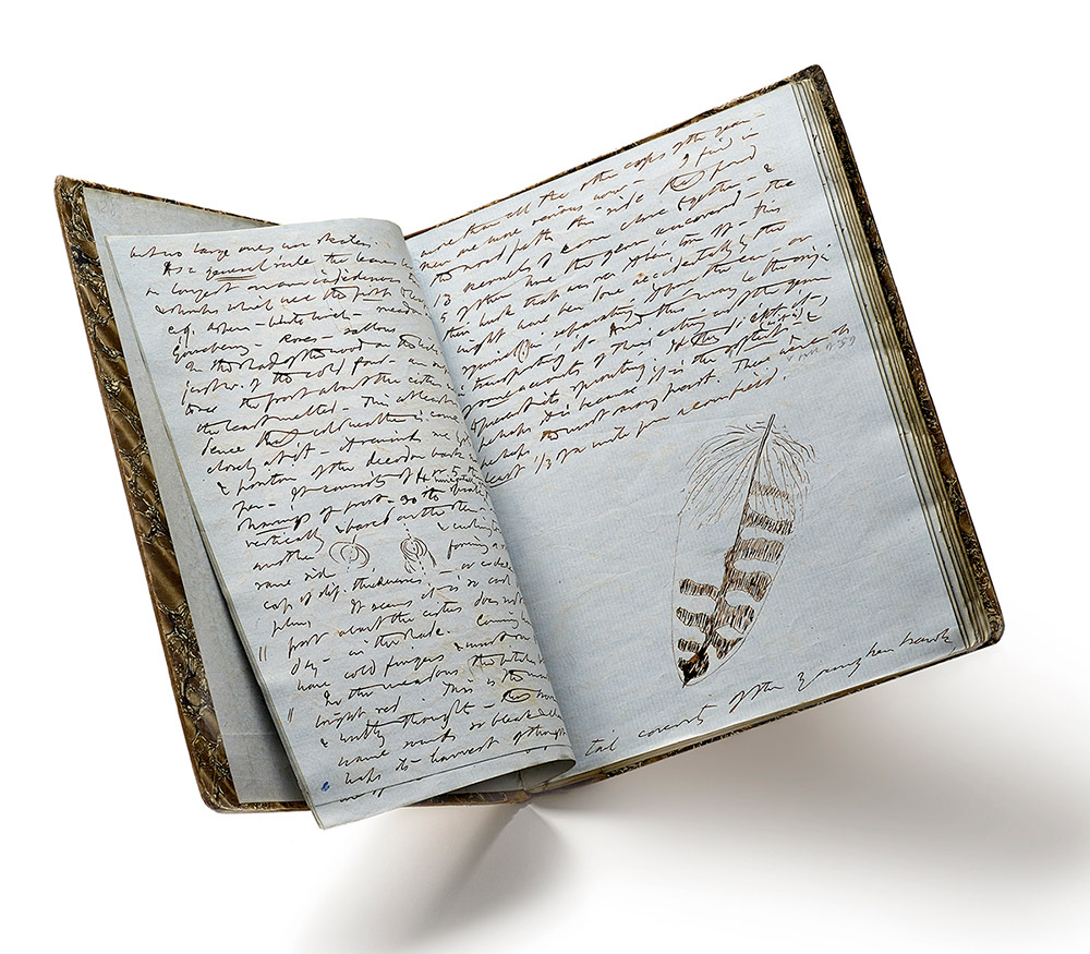 photograph of Henry David Thoreau's journal open to a page on which he had drawn a feather